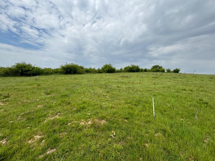 Teren intravilan 500mp, Alea Trifoiului