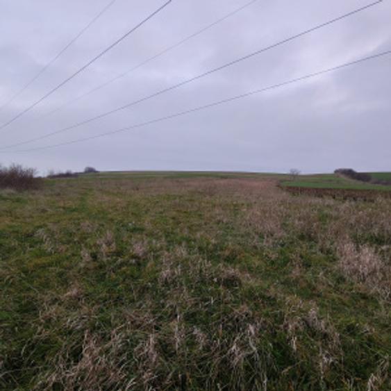 Teren extravilan, 4760 mp - zona Ghercesti