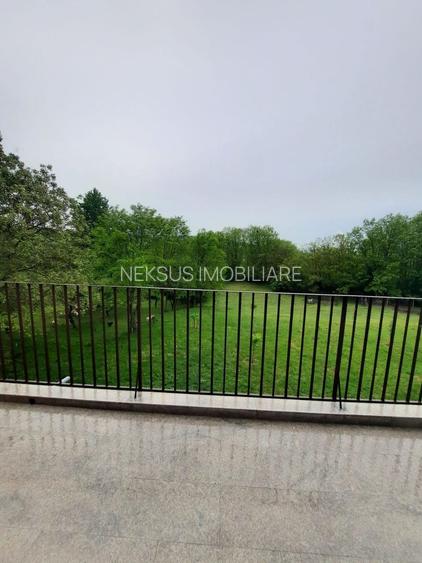 CASA DE 263MP, TEREN DE 8142M2 IN OARDA DE SUS LA 350.000, NEGOCIABIL - 14