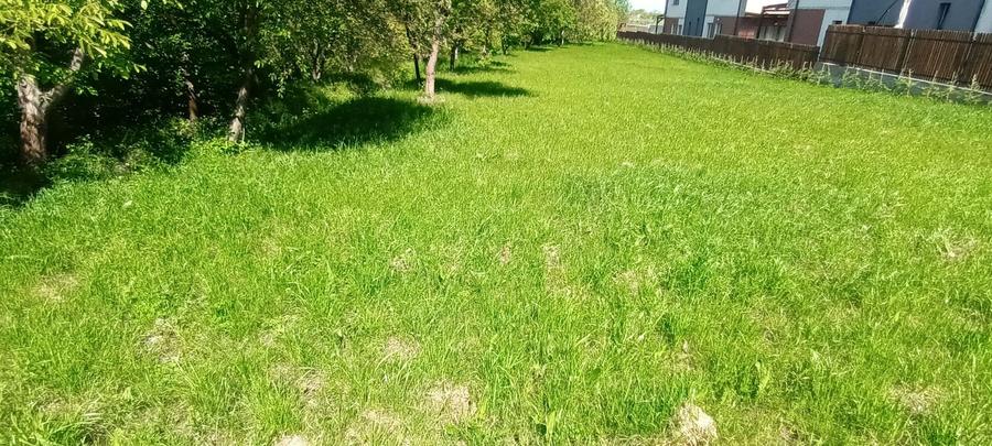 Casa noua tip vila cu 6 apartamente, P+2E, 1500 mp teren, Buna Ziua