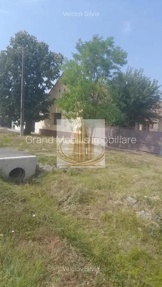 Casă individuală Dudeștii Noi | 2.526 mp teren | Pivniță - 8