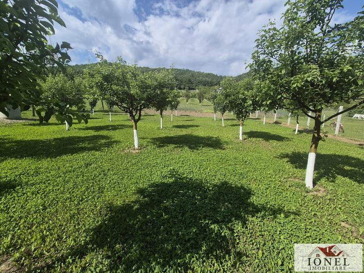 Teren intravilan (2292mp) de vanzare in Vintu de Jos