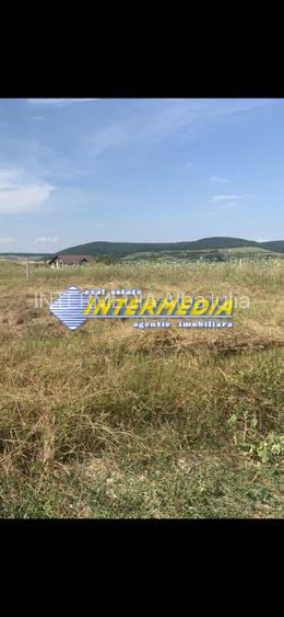 Teren intravilan de vanzare in Alba Iulia in suprafata de 500 mp - 2