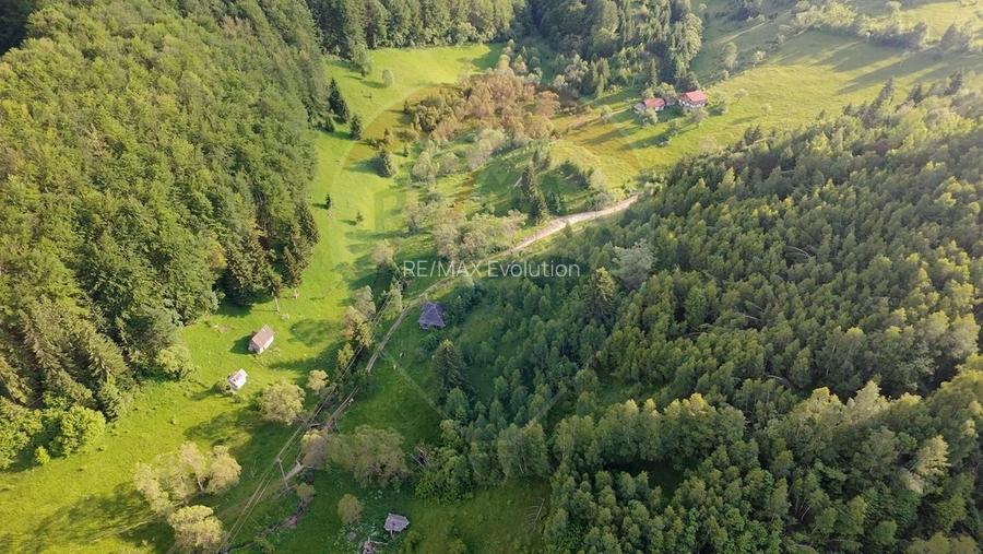 Teren 38,704mp Sirnea | 2.000 mp Intravilan | 36,704 Extravilan - 7