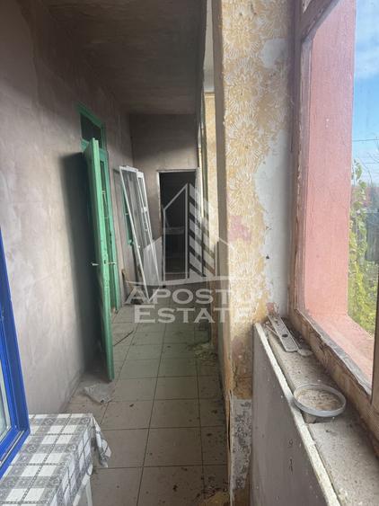 Comision 0 la cumpărător ,casa în Petrovaselo cu 2518 mp teren
