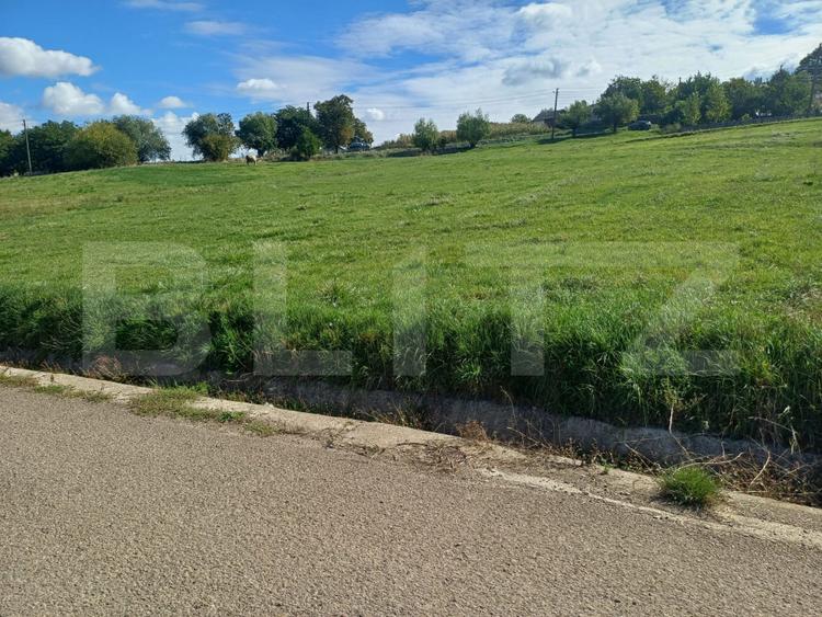 Teren de vânzare intravilan, 2000 mp, Zvoristea