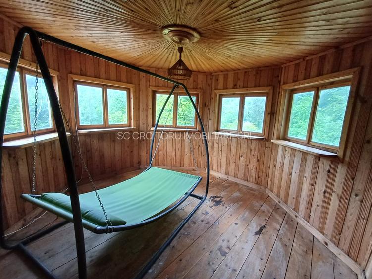 Vrancea - Nistoresti ! Vanzare ! Vila cu personalitate si potential turistic ! - 25