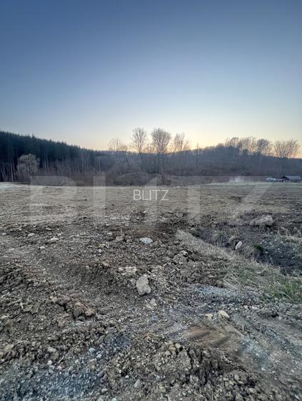 Viitor teren intravilan, parcele cu utilitati, Drumul Tarpiului - 3