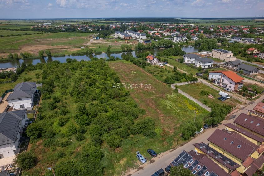Teren 5.000 mp cu deschidere la lac | Corbeanca – Paradisul Verde - 15