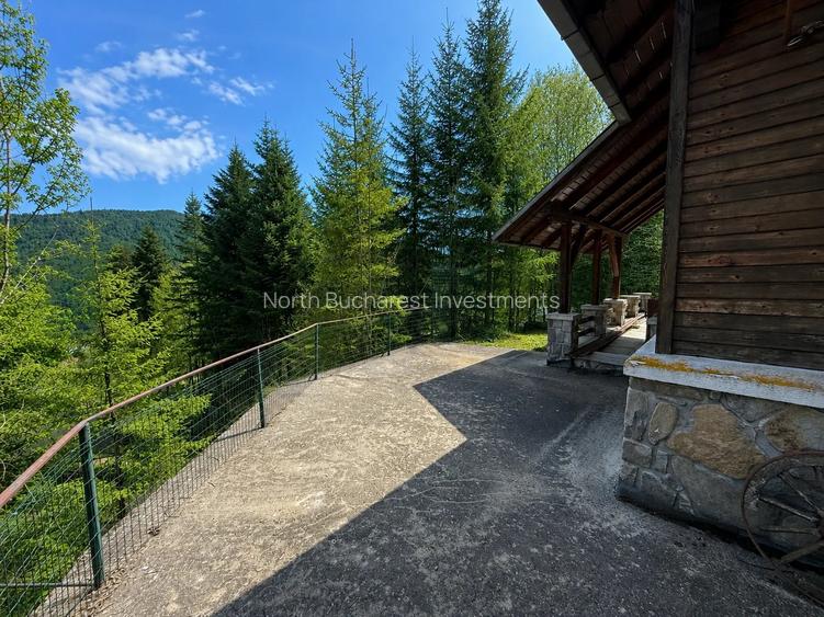 CABANA IN ZONA SINAIA - TEREN 550MP - 4