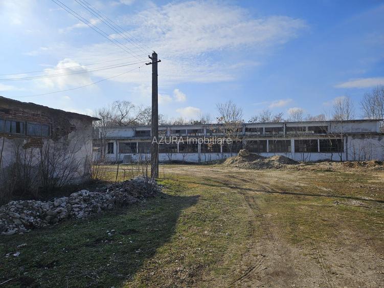 Vanzare amplasament industrial-servicii Tatarasti, Teleorman - 9