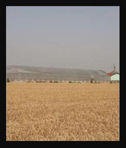 Spațiu industrial, 7300 mp în Uivar