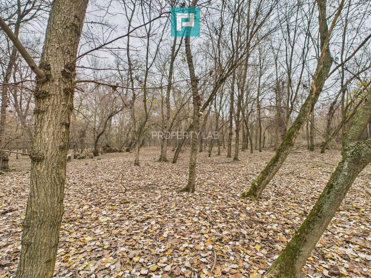 Teren pe malul Mureșului- oportunități multiple - 24