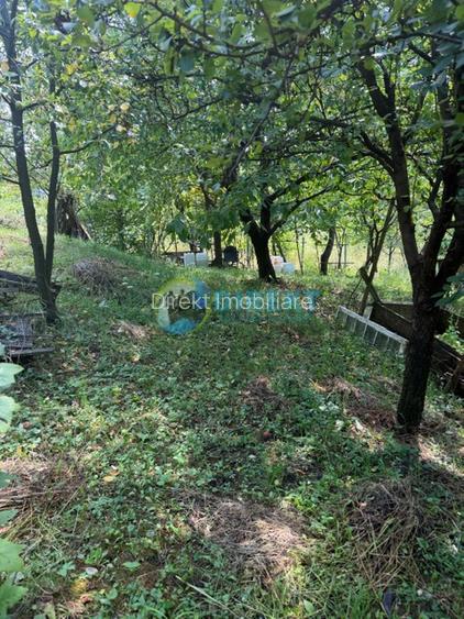 Teren intravilan ,la 2 km de centrul orasului . - 6