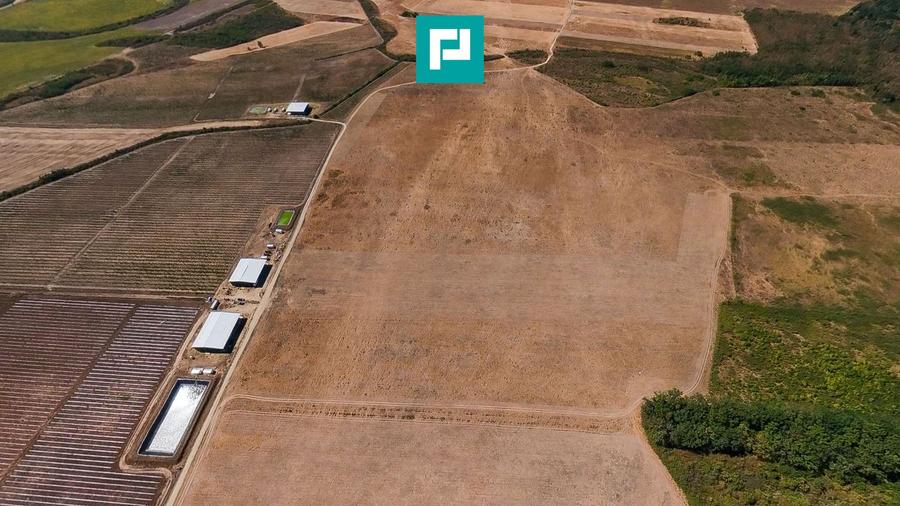 Teren intravilan agricol 558.500 mp Chevereșu Mare