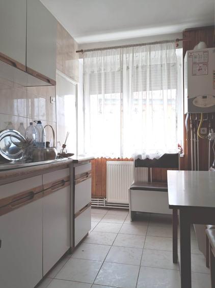 Apartament 2 camere in Terezian