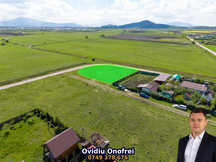 BRASOV - HARMAN - LOT DE COLT 1000 MP TOTAL