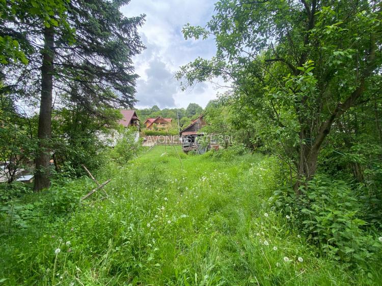 Casa bătrînească + Teren 1190 mp - 5