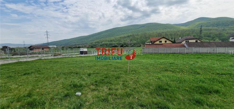 Teren de vis la liziera pădurii – liniște, natură și aer cur - 7