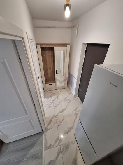 Apartament 1 camera Lunca Cetatuii