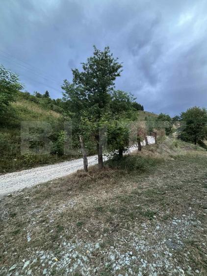 Teren intravilan de 1585 mp, Campeni