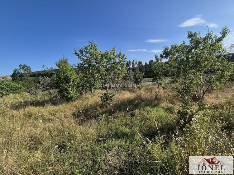 Teren intravilan 2500 mp de vanzare in Ciugud - Teleac - 2