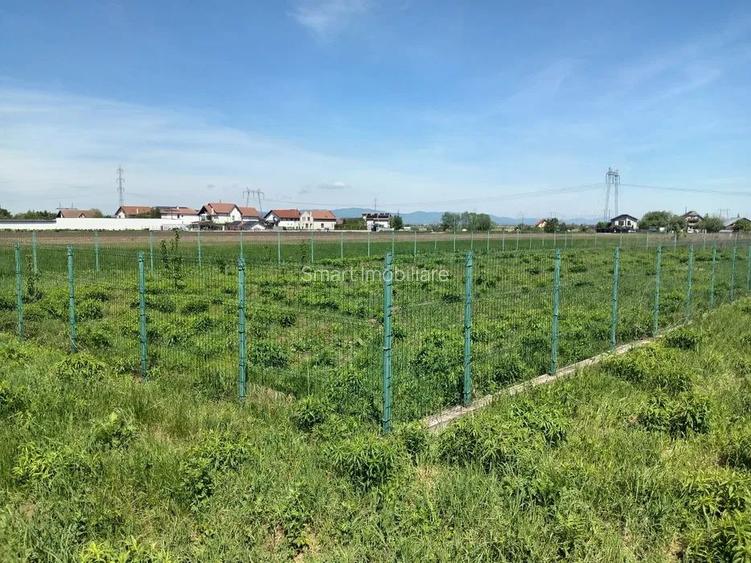 Teren Intravilan 837 mp Stupini - 2
