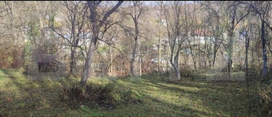 Teren de vânzare, 3.463 mp, priveliște deosebită, zonă montană Runcu - 2