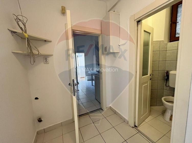 Inchiriere apartament cu 6 camere -Victoriei/Cismigiu - 5