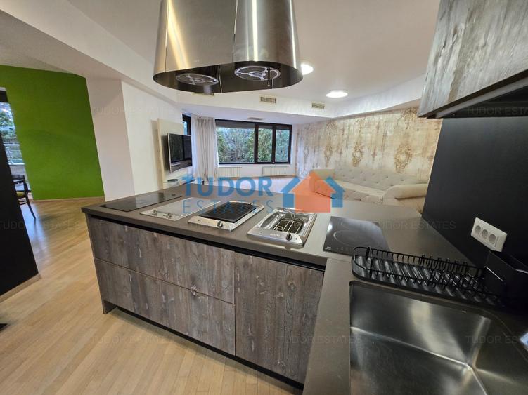 Beautiful 4 Bedroom Apartment with Herastrau Park View