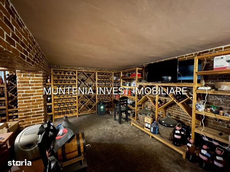 Casa S+P+I+2M, teren 840 mp. Ștefănești - 10
