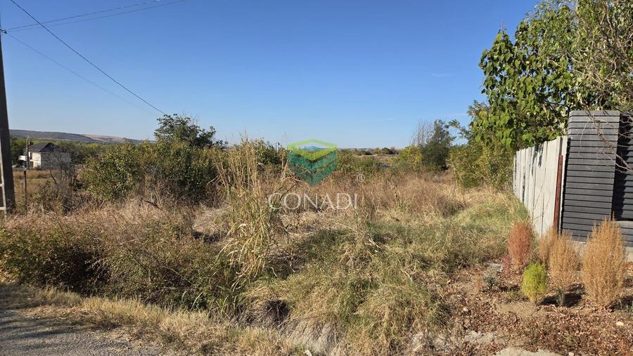Teren 1200mp Simnicu de Sus | Romanesti | DE1106 Izvor