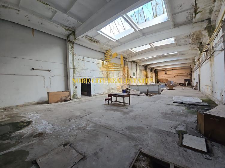 Platforma Industriala-8 ha -Fabrica-Hale Productie-21.500 mp - 9