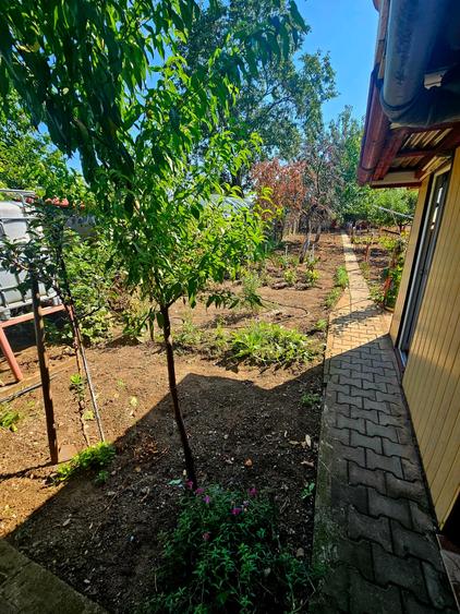Casă spațioasă cu 9 camere în Strejnicu – pentru locuință, birouri