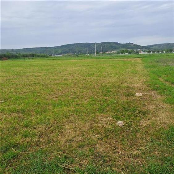 De vanzare teren Stefanesti zona Sticlelor, intravilan, 4200 mp