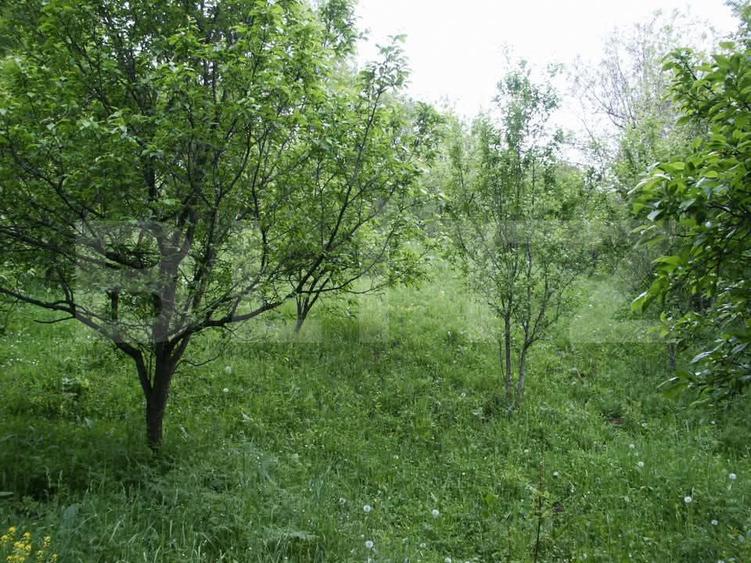 Teren de vânzare, 884 mp, zona Runcu