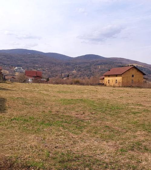 Teren intravilan 1385 mp | Toate utilitățile | Zonă liniștită Micești