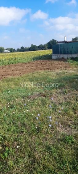 Teren intravilan 500 mp deschidere 23 m Puz Apobat P+2 - 9