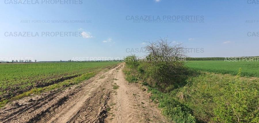 3 loturi de teren langa padure langa lacul Colacu, Dambovita - 7