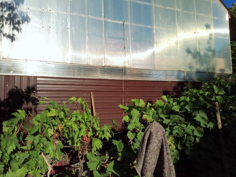 Vind casă nouă mansardă cu pomi fructiferi vita de vie cu 4 camerei baie buc