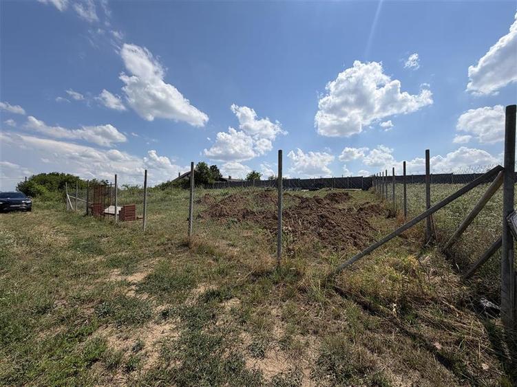 TEREN INTRAVILAN 586 MP | ZONA PALEU | BIHOR