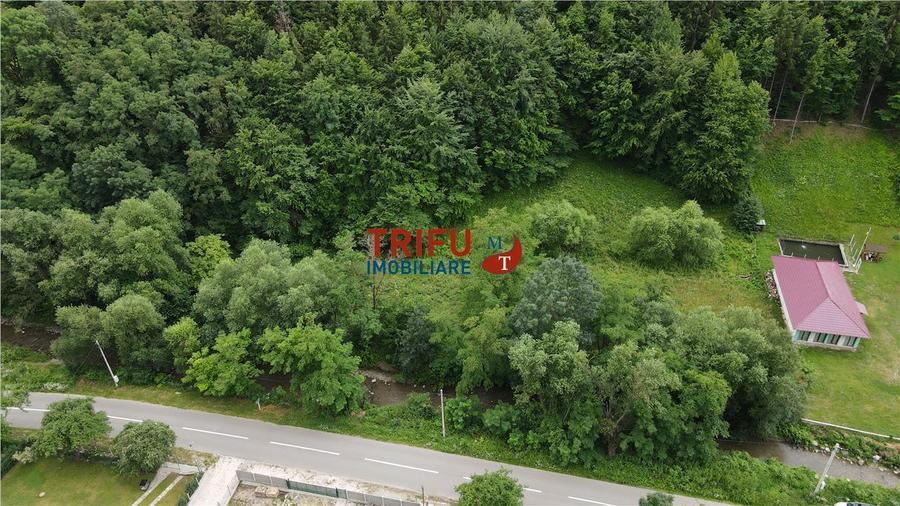 Teren ideal pentru cabană sau pensiune în Poiana Galdei