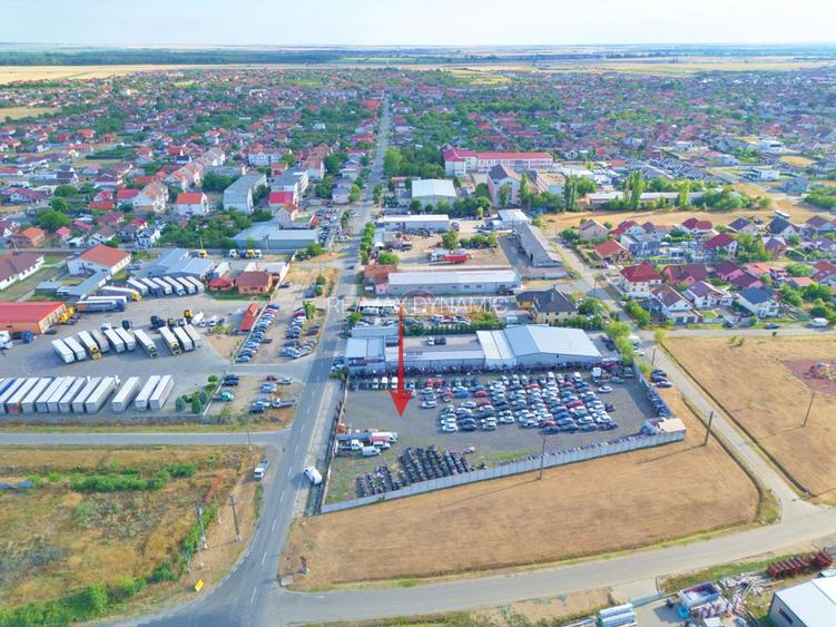 Teren intravilan 2,000mp Vladimirescu - 6