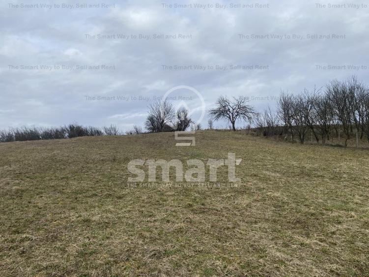 Teren intravilan cu CF 5400mp front 17 Savadisla jud Cluj