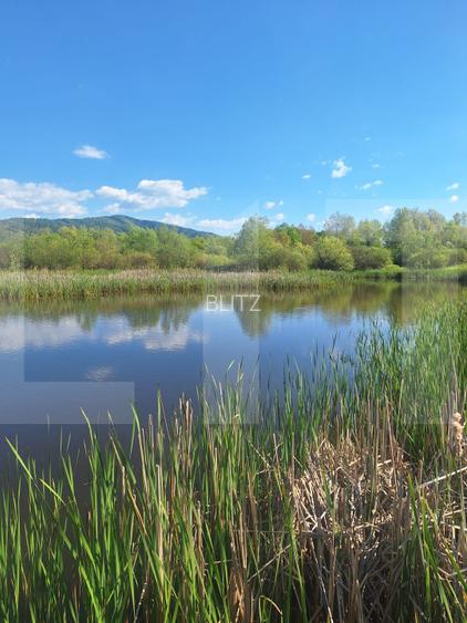 Teren de vânzare 1.600 mp cu deschidere la lac – zona Lacul Surduc - 16