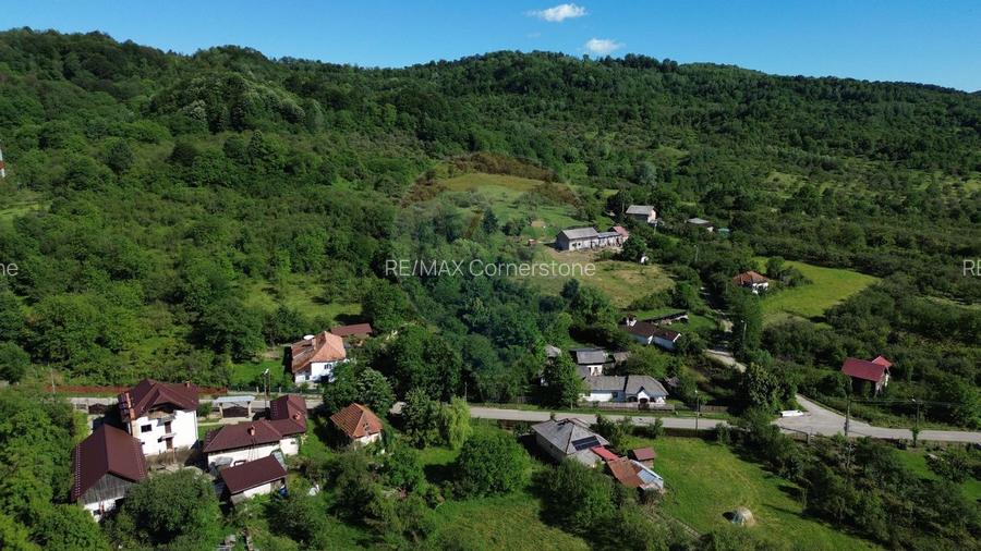 Casă de vânzare in natura la tara - Mihaesti - 9