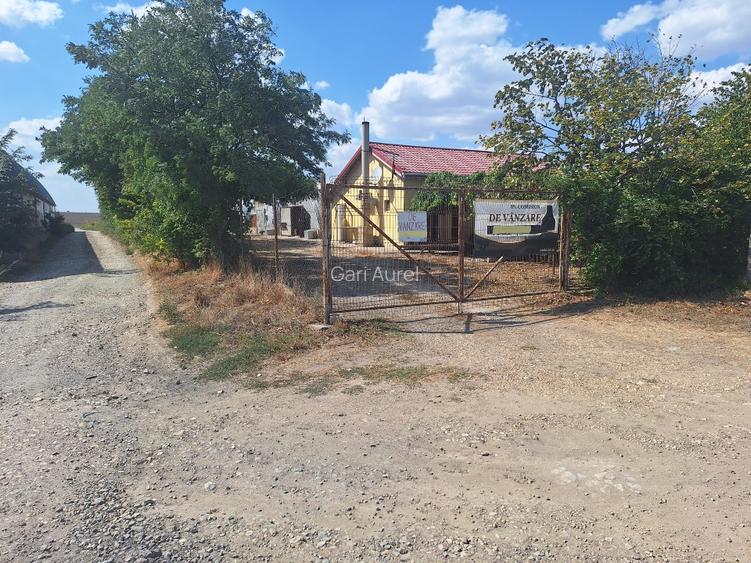 Vând teren intravilan 10.000mp +casa+spatii productie-depozitare  - 12