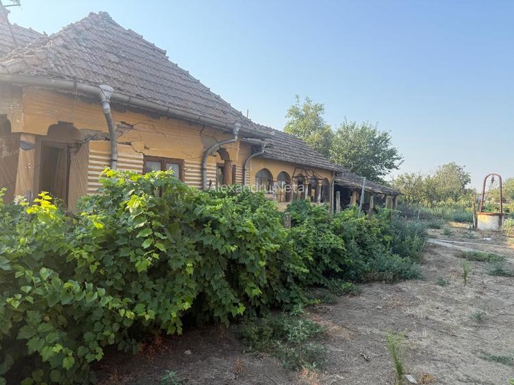 Teren intravilan 2.400 mp în Băilești 24 m deschidere la strada - 7
