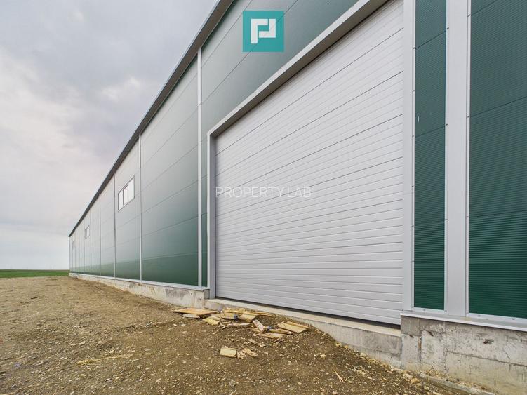Hală nouă 563mp în zona industrială Sânandrei - 13