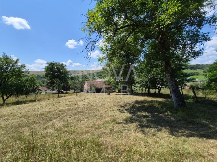 Casa individuala cu teren generos – 8.356 mp – Tichindeal, jud. Sibiu - 44
